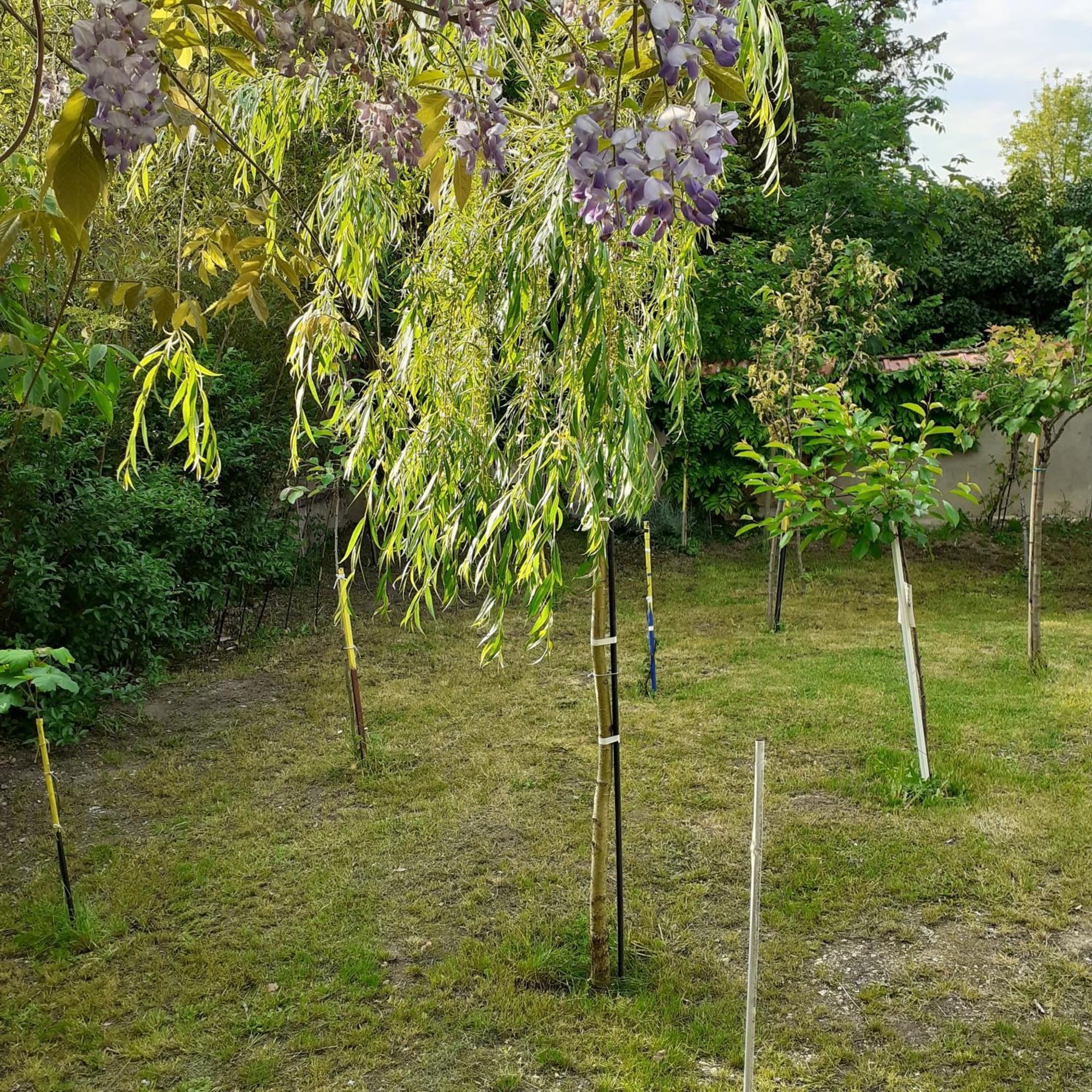 Chambres D'Hotes Gobillon Maintenon Bagian luar foto