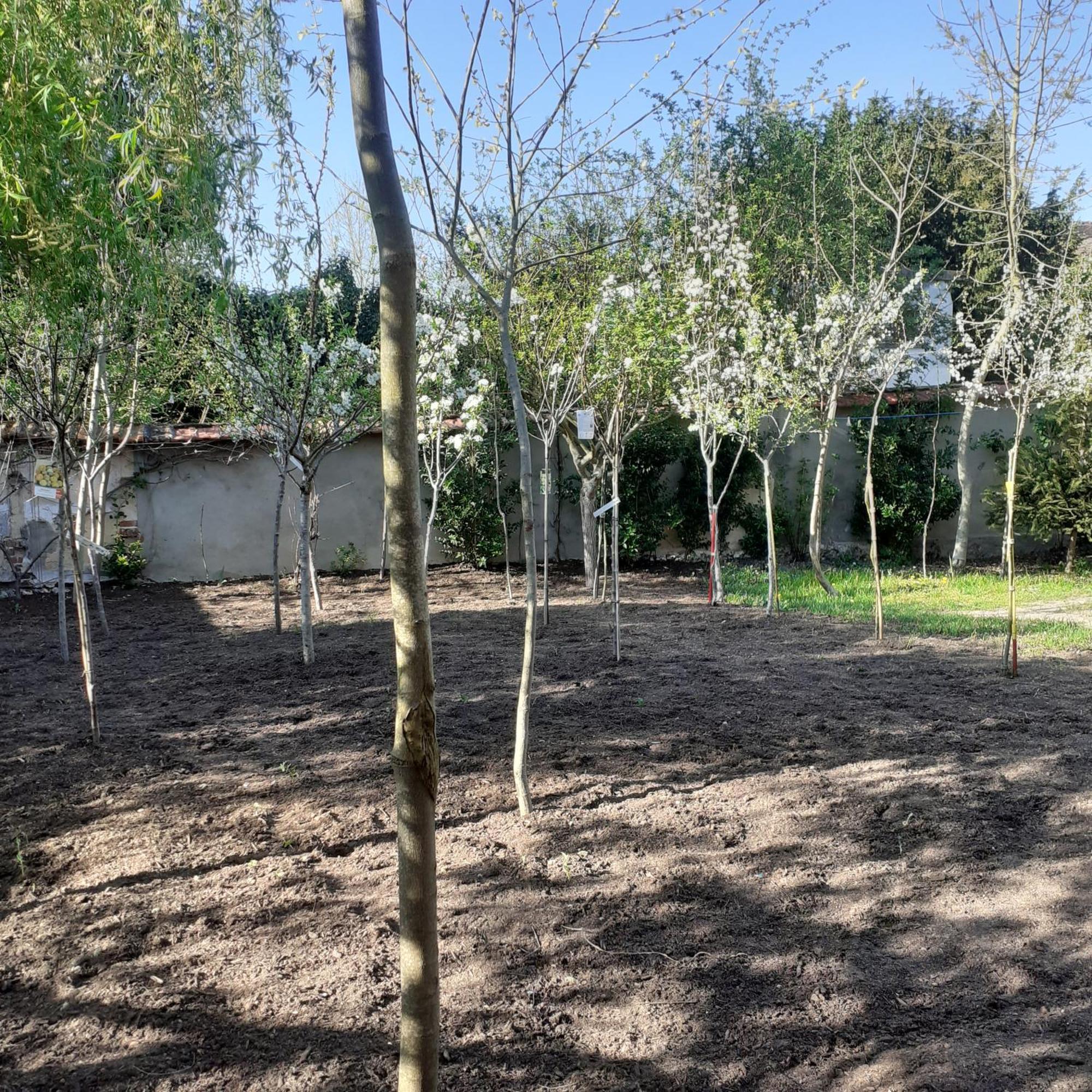 Chambres D'Hotes Gobillon Maintenon Bagian luar foto