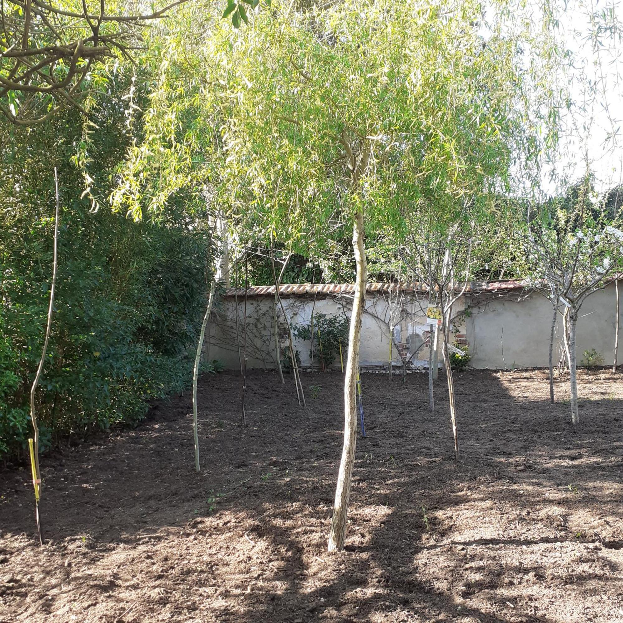 Chambres D'Hotes Gobillon Maintenon Bagian luar foto